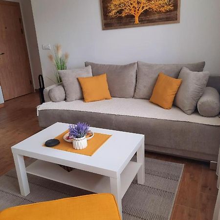 Bankovic Apartman Vrnjačka Banja Εξωτερικό φωτογραφία