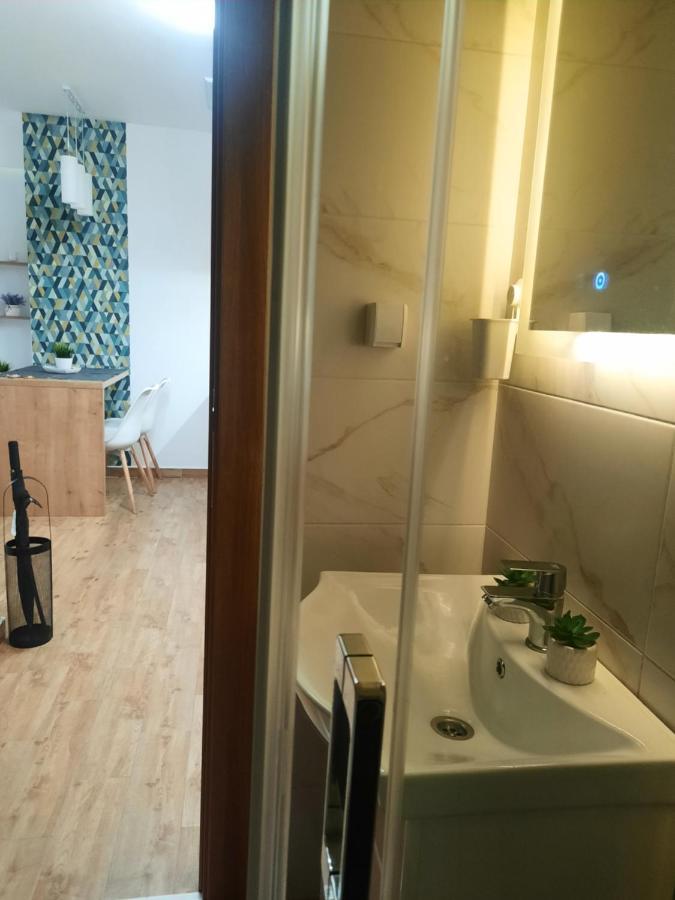 Bankovic Apartman Vrnjačka Banja Εξωτερικό φωτογραφία